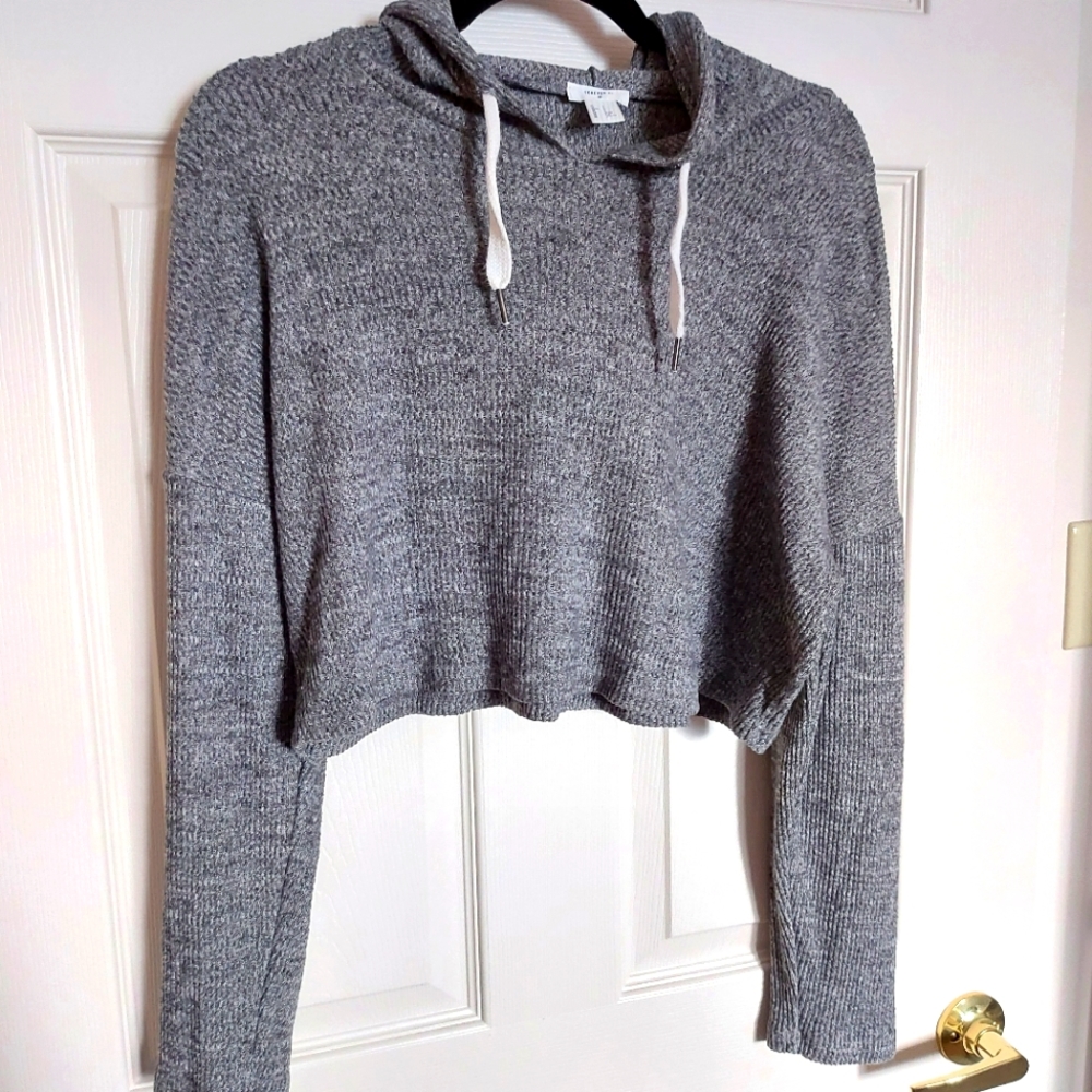 Forever 21 Cropped Gray Hoodie